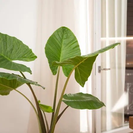 Enjoy - Luxury Experience In The Heart Of Apartament *